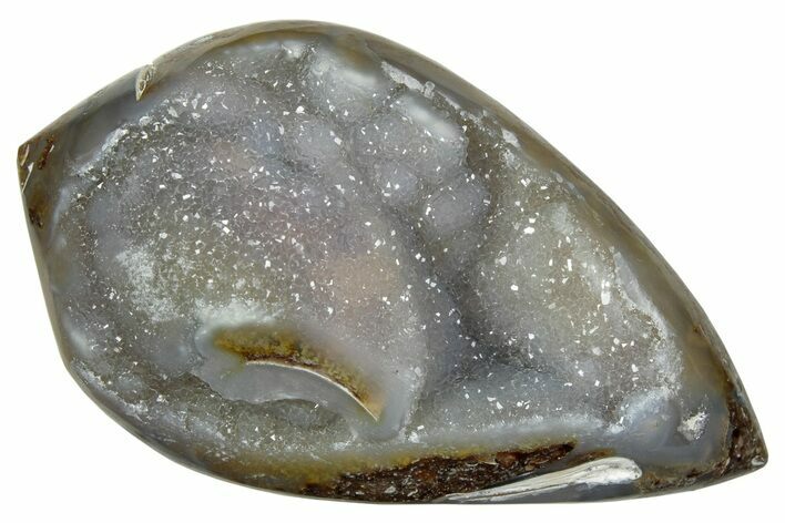 Chalcedony Replaced Gastropod With Sparkly Quartz - India #239297